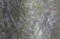 Emery Down fibreglass roof work